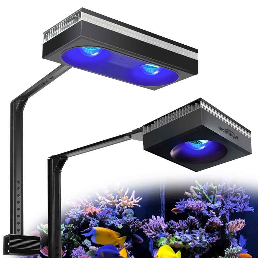 PopBloom RL90/RL180 WiFi Aquar - Marine X Aquarium avaliação e preço