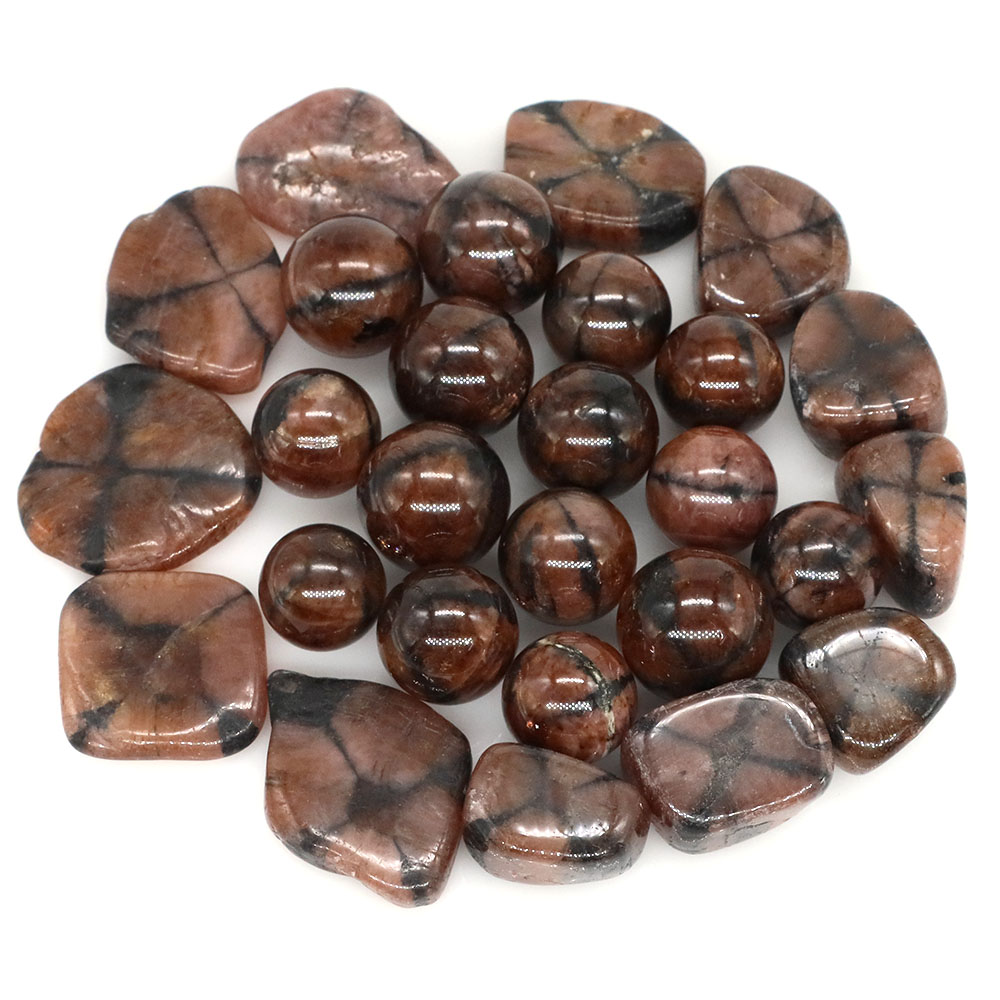 Natural Cross Chiastolite Quar - Aquarium Marine Stone avaliação e preço