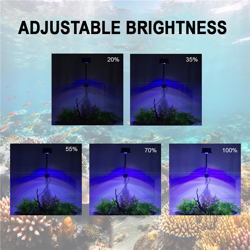 30W Aquarium Fish Tank Sea Wat - Marine Aquarium Water avaliação e preço