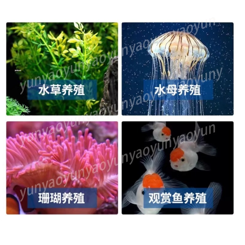 Small Aquarium Chiller Compres - Marine Aquarium Chiller avaliação e preço